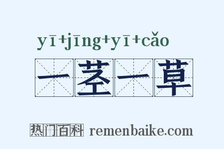 一茎一草是什么意思的图片
